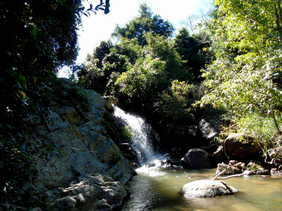 Dong suoi hoang so it nguoi biet tai xu D’ran, Lam Dong-Hinh-4