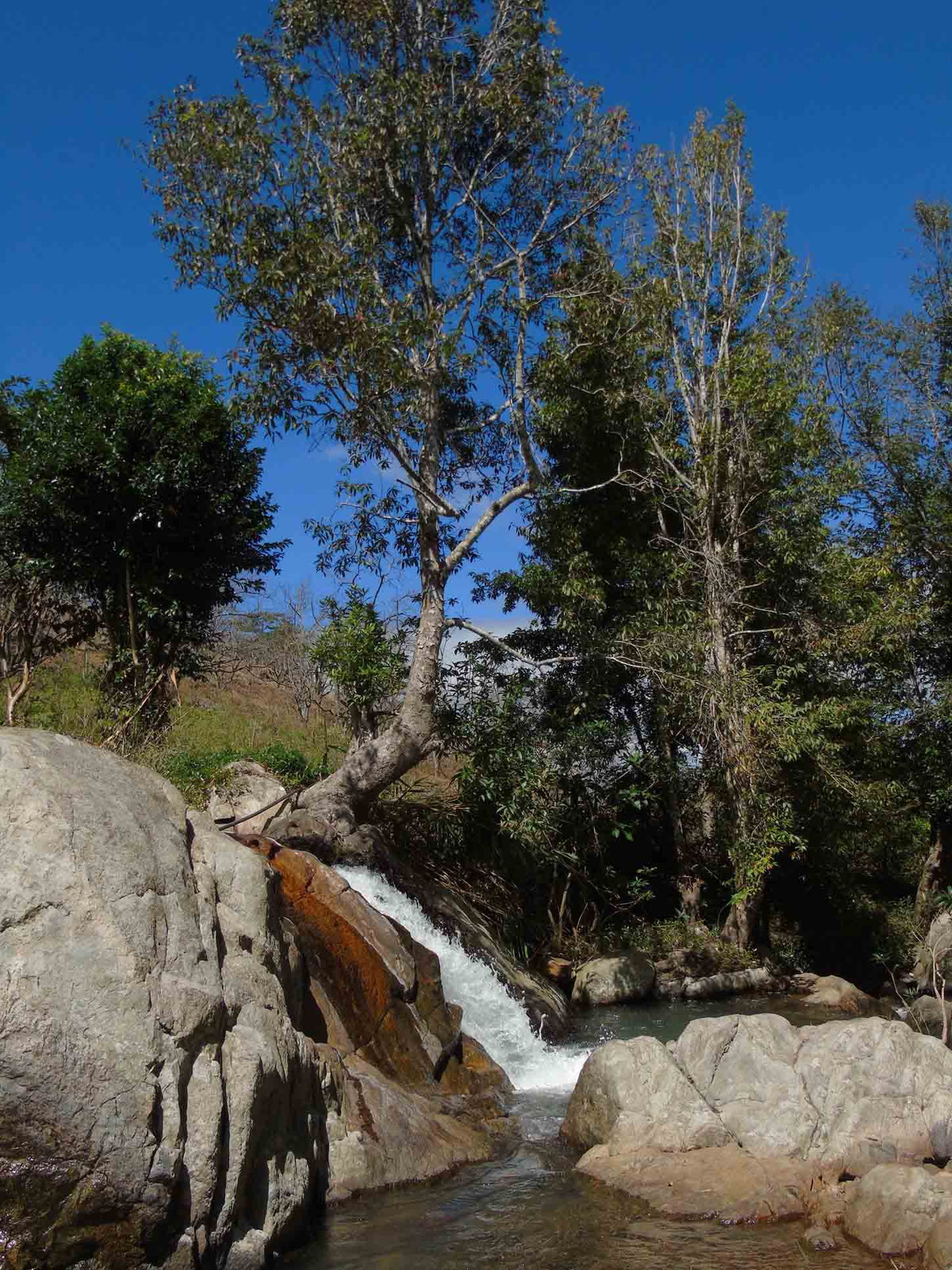 Dong suoi hoang so it nguoi biet tai xu D’ran, Lam Dong-Hinh-3