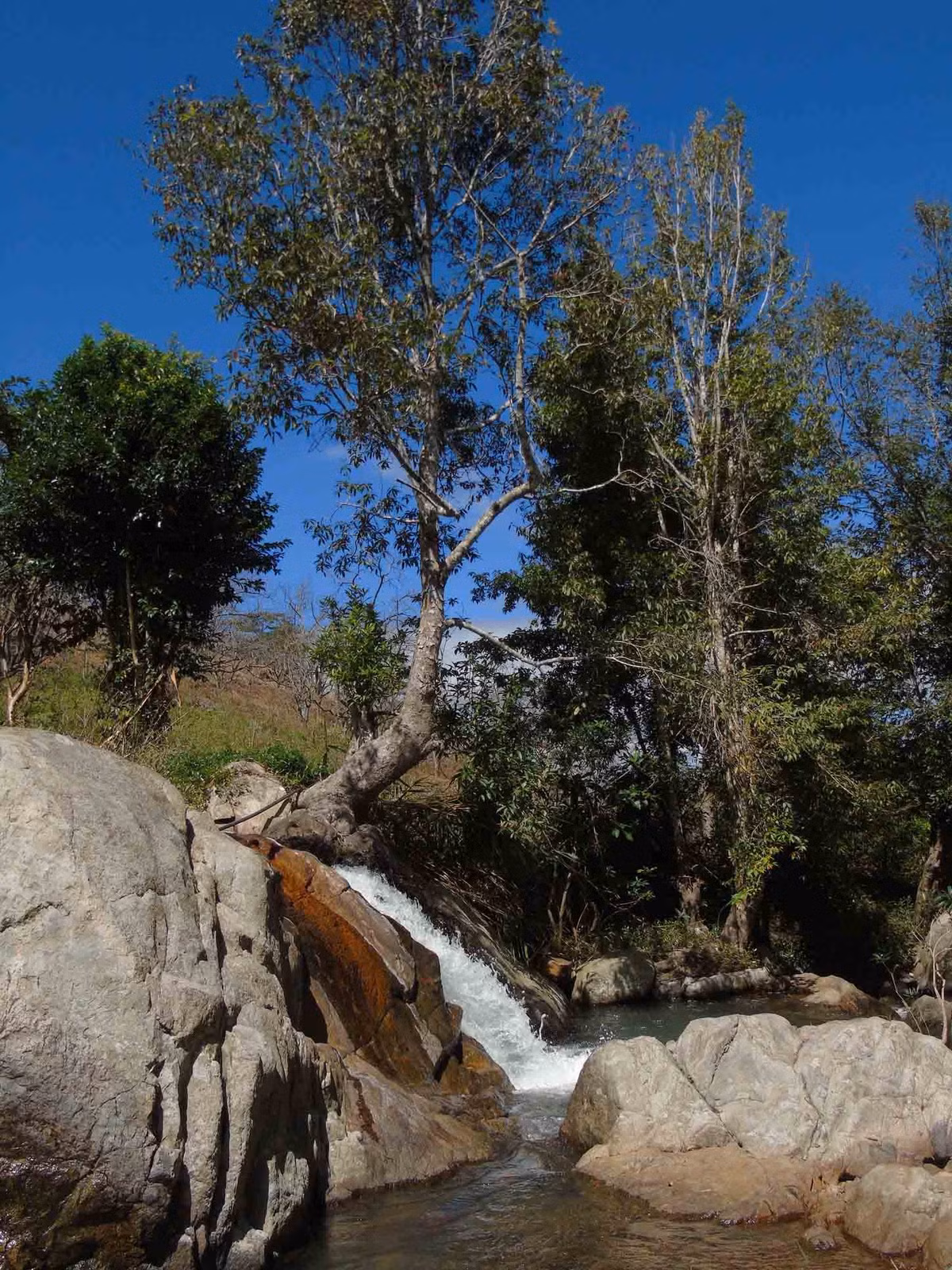 Dong suoi hoang so it nguoi biet tai xu D’ran, Lam Dong-Hinh-3