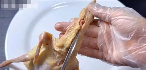 5 bo phan nay cua chim bo cau chua nhieu doc to-Hinh-7