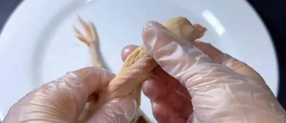 5 bo phan nay cua chim bo cau chua nhieu doc to-Hinh-4