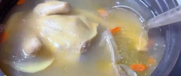 5 bo phan nay cua chim bo cau chua nhieu doc to-Hinh-14