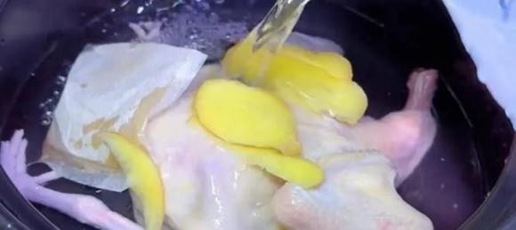 5 bo phan nay cua chim bo cau chua nhieu doc to-Hinh-12