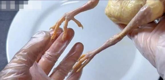 5 bo phan nay cua chim bo cau chua nhieu doc to-Hinh-5