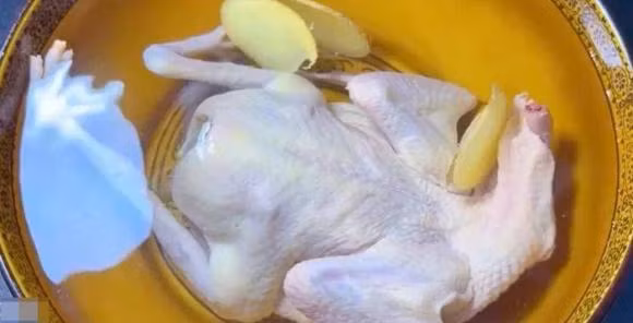 5 bo phan nay cua chim bo cau chua nhieu doc to-Hinh-11