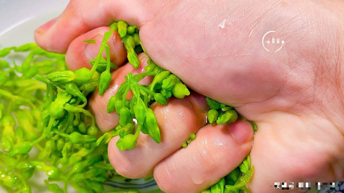 Loai hoa thom ngat, o que nha nao cung thich trong-Hinh-7