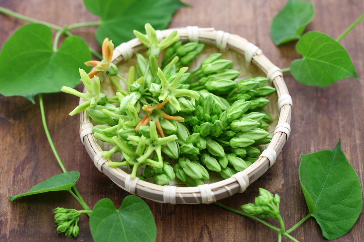 Loai hoa thom ngat, o que nha nao cung thich trong