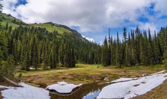 Nguoi thong minh giu kin 3 bi mat nay trong mieng-Hinh-2