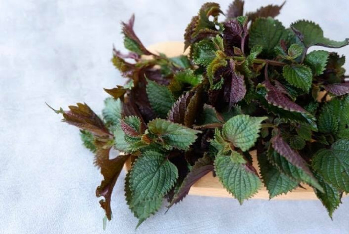 Loai rau vut day vuon, chi em nau an, ep nuoc uong dep da-Hinh-2