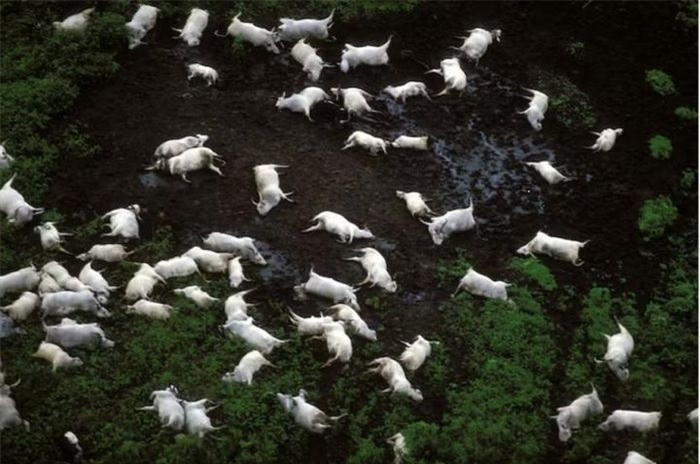 Ho nuoc dep nhung tung giet gan 2.000 nguoi trong mot dem