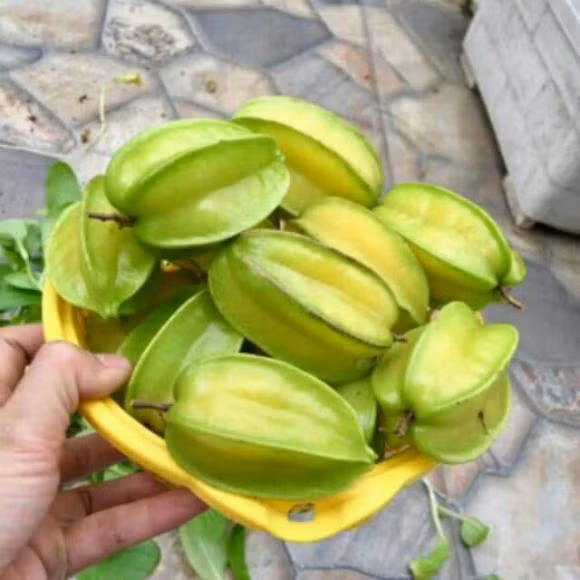 Ngay Ram luu y khong duoc dat 5 thu nay tren ban tho-Hinh-3