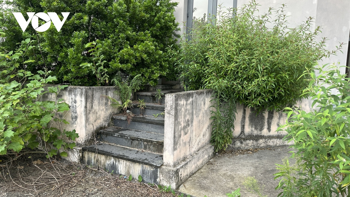 Can canh nha tai dinh cu o Ha Noi khong nguoi o, co moc um tum-Hinh-5