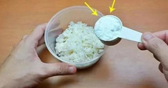 Cơm nguội đừng bỏ đi, gián ăn phải chỉ có đường chết Com nguoi dung bo di, gian an phai chi co duong chet