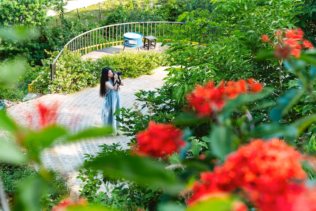 Khu vuon rong 3.000m2, hoa no ruc ro o ngoai thanh Ha Noi-Hinh-3