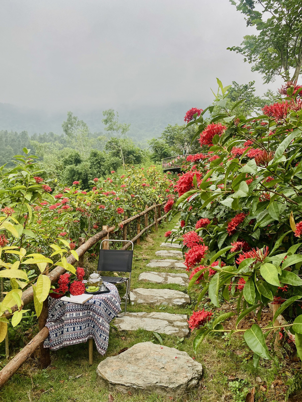 Khu vuon rong 3.000m2, hoa no ruc ro o ngoai thanh Ha Noi-Hinh-2