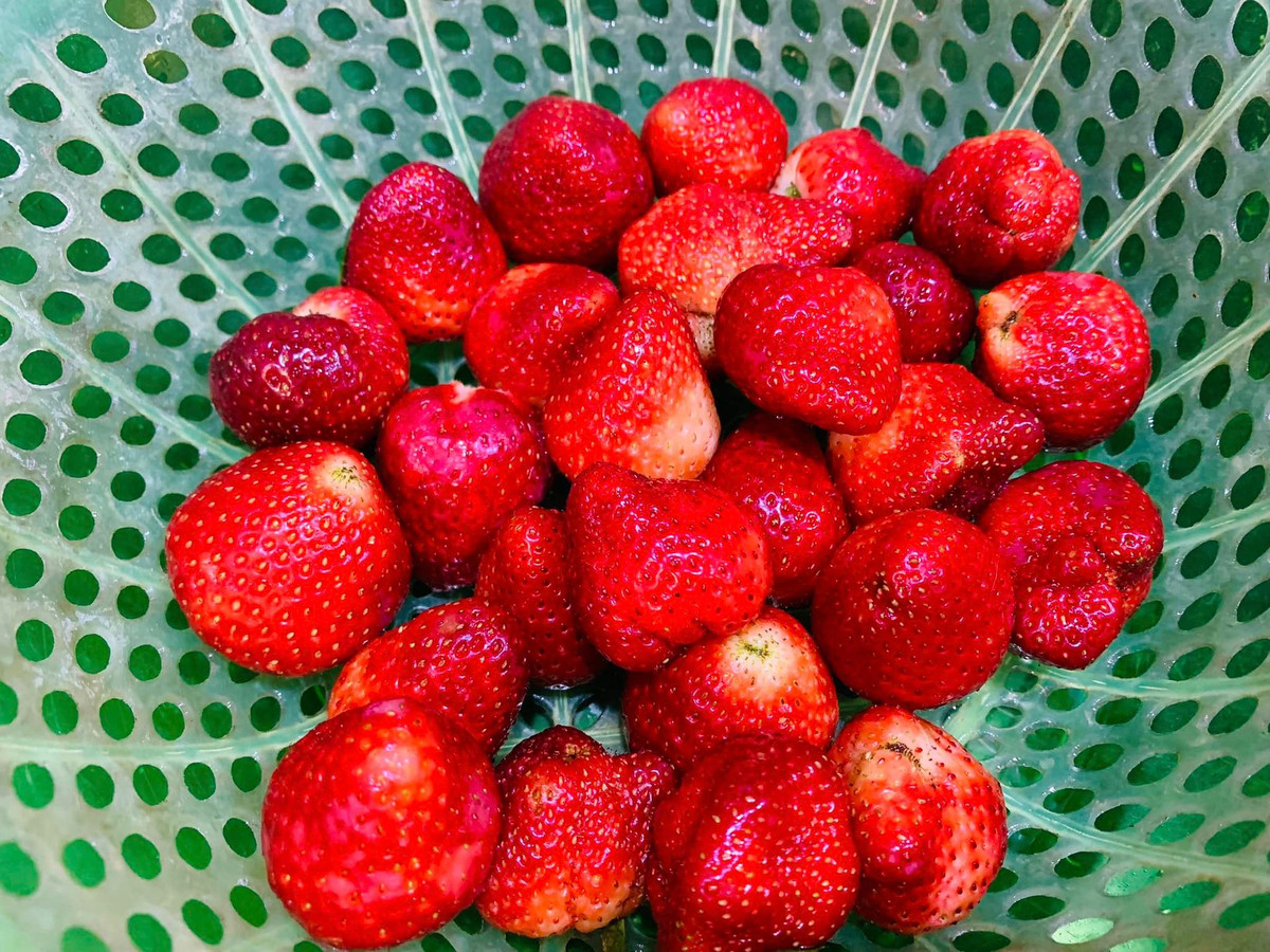 Loai qua mau do tuoi, giau vitamin C, an vao dep da