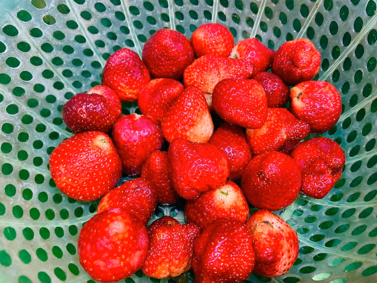 Loai qua mau do tuoi, giau vitamin C, an vao dep da