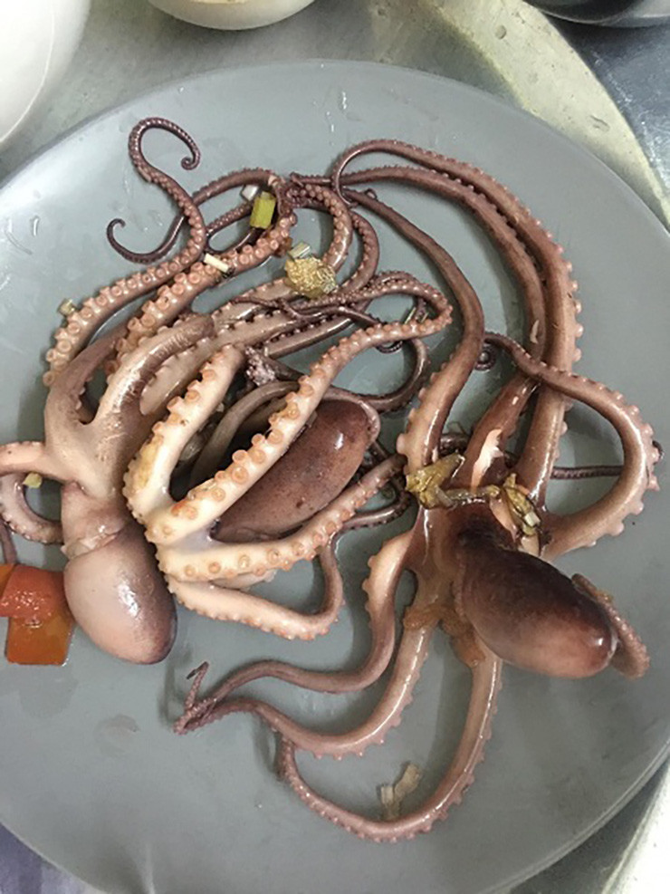 Để đánh bắt được ruốc lỗ phải dùng tới lồng bát quái hoặc đi soi trong lỗ, kĩ thuật đánh bắt cũng đòi hỏi cao hơn đối với các loại hải sản thông thường