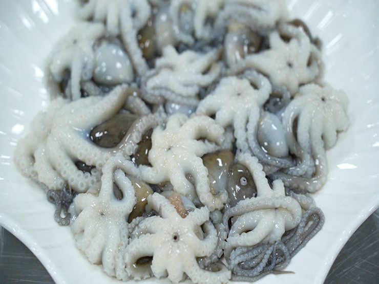 Từ tháng 7 đến tháng 10 âm lịch, ruốc lỗ ở vào thời kỳ dễ bắt và có thịt ngon.