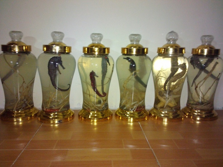 Cá ngựa khô được bán với giá từ 8-14 triệu đồng/kg. Cá ngựa ngâm rượu cũng được chào bán với giá hàng triệu đồng/bình từ 2 con trên các chợ online.