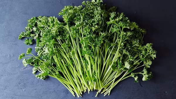  Các loại rau ăn lá: Các loại rau có lá màu xanh đậm cung cấp lượng vitamin A, C, K và folate cực kỳ dồi dào. Rau xanh như rau bina, bông cải xanh và những loại rau có màu xanh đậm khác cung cấp rất nhiều chất sắt non-heme. Đặc biệt, cải bó xôi là một loại rau giàu dinh dưỡng, cải bó xôi rất dồi dào sắt, canxi, magiê, mangan và các vitamin thiết yếu. Ảnh minh họa