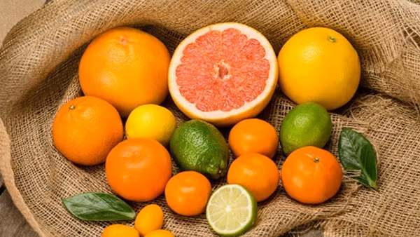  Trái cây họ cam, quýt: Nhóm trái cây có họ cam, quýt như cam, chanh, bưởi, quýt… chứa nhiều vitamin C. Loại vitamin này có vai trò quan trọng đối với quá trình hấp thu chất sắt, đồng thời còn giúp duy trì sự lưu thông máu bình thường bên trong cơ thể. Ảnh minh họa