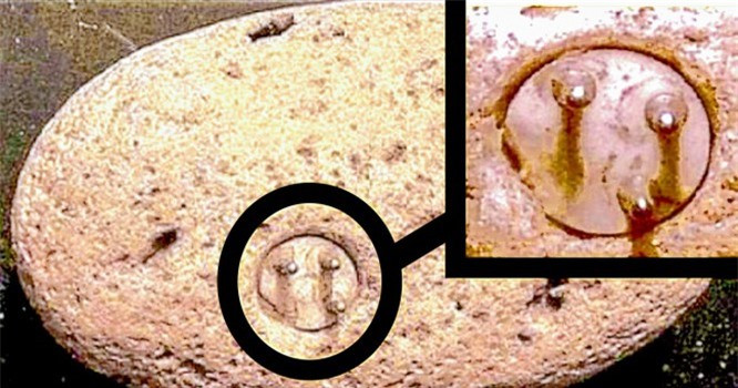 7. Đầu cắm điện 3 chân 100.000 năm tuổi nằm trong đá: Vào năm 1998, trong 1 lần leo núi, kỹ sư điện John. J. Williams đã tìm thấy một vật thể lạ trông giống như đầu cắm điện nhô ra bên trong tảng đá. Sau khi đào sâu xuống lòng đất, Williams đã tìm thấy một thiết bị với 3 đầu cắm, gắn liền vào một tảng đá. Sau khi kiểm tra cẩn thận hơn trong phòng thí nghiệm, các nhà khoa học nhận ra rằng "phích cắm" không được dán hoặc hàn vào đá, có nghĩa là vật thể được hình thành cùng với đá và chỉ đơn giản là một phần của đá. Tuy nhiên, John. J. Williams thực sự tin rằng đó là một hiện vật từ các nền văn minh công nghệ cao cổ xưa và từ chối tiết lộ chính xác địa điểm nơi phát hiện ra vật thể này. 