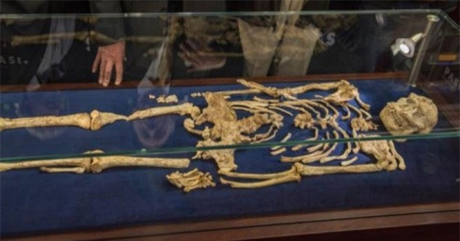 3. Di hài của người phụ nữ cổ xưa nhất Trái đất: Các nhà khoa học vừa phát hiện bộ xương khá hoàn chỉnh tại hang động Malapa ở Nam Phi, có tuổi đời khoảng 3,6 triệu năm và đặt tên là Australopithecus Sediba. Sau quá trình khôi phục, các nhà khoa học cho biết Australopithecus Sediba gần gũi hơn với bộ xương của con người hiện đại so với trước đây. Theo các chuyên gia, bộ xương này là của một người con gái kém may mắn - tử vong sau khi bị rơi từ vách đá. 