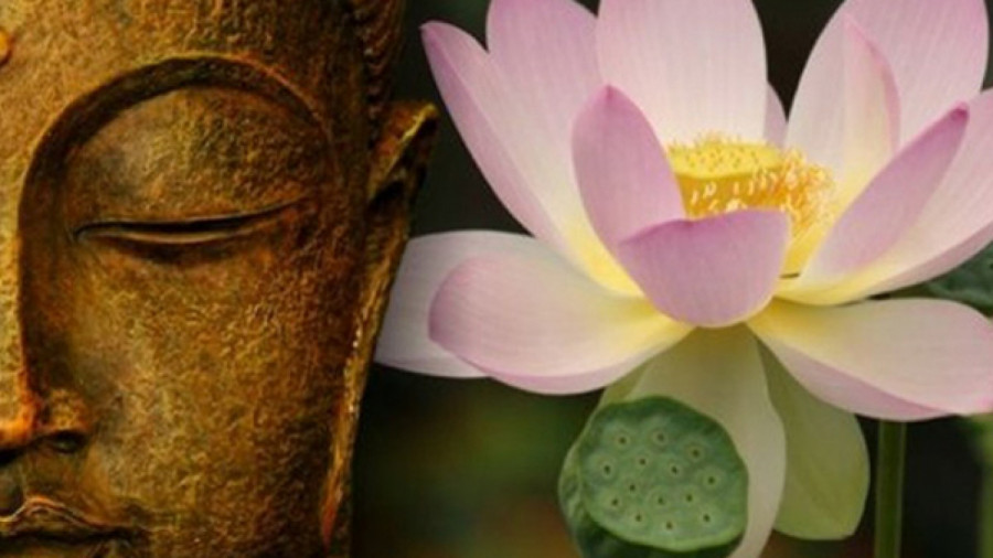 Tâm tốt nhưng miệng không tốt, mọi vinh hoa phú quý cũng sẽ mất - Hình 2 Tam tot nhung mieng khong tot, moi vinh hoa phu quy cung se mat-Hinh-2