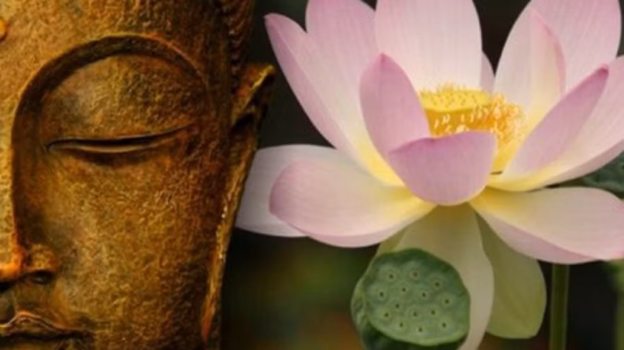 Tam tot nhung mieng khong tot, moi vinh hoa phu quy cung se mat-Hinh-2