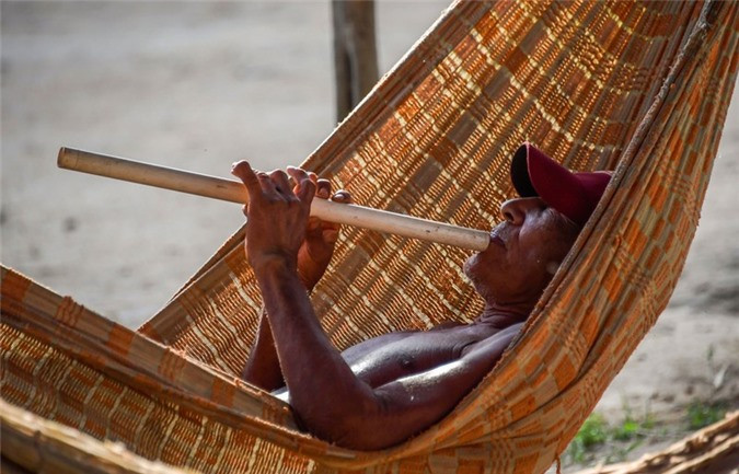 ##sc### Người đàn ông Waiapi luống tuổi thảnh thơi nằm thổi sáo trên võng. 
