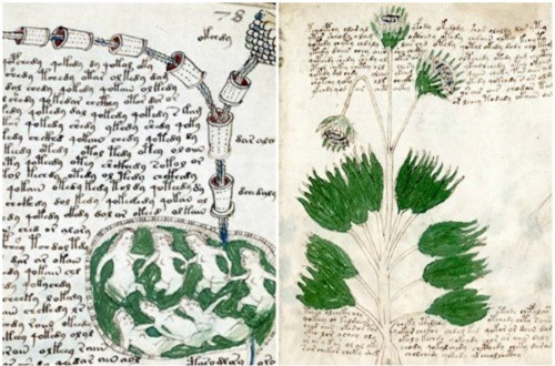  3. Bản thảo Voynich: Đây có lẽ là cuốn sách bí ẩn nhất trên thế giới. Chúng ta vẫn chưa biết tác giả của nó là ai. Quyển sách được viết bằng một ngôn ngữ kỳ lạ, chưa hề có trên thế giới. Ngoài ra, các trang sách còn được vẽ các hình ảnh, biểu tượng khó hiểu, không thể giải thích.