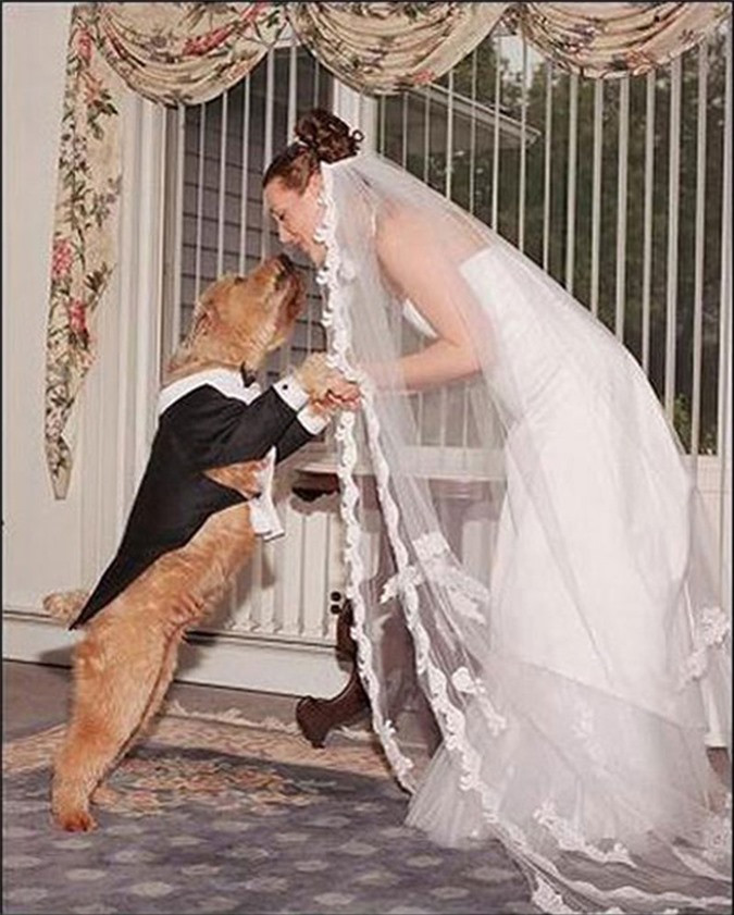 ết hôn với động vật để xua đuổi tà ma: Ở một vài nơi ở Ấn Độ, những người dân tin rằng một bé gái có răng khểnh ở hàm trên sẽ trở thành đối tượng tấn công của hổ và những con vật khác trong tương lai. Chúng bị ma quỷ ghét bỏ. Chính vì thế, chúng phải chấp nhận lấy động vật. May mắn thay, đây chỉ là một hôn lễ giả và các đôi “vợ chồng” không phải gắn bó với nhau suốt cả đời. Sau khi lớn lên, những cô bé đã được xua đuổi tà ma vẫn có thể lấy được chàng trai họ yêu thật sự.