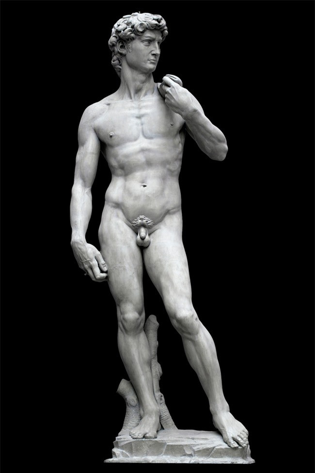  Tượng David... bị lé: Lại một kiệt tác của Michelangelo. "David" được cho là thước đo chuẩn mực về vẻ đẹp lý tưởng của nam giới. Nhưng trên thực tế, nó chẳng hoàn hảo thế đâu, vì David... bị lé đấy. Điều này được phát hiện khi bức điêu khắc được scan bằng kỹ thuật laser. Lỗi nhỏ này gần như vô hình vì tượng được đặt trên bệ đứng rất cao. Người ta cho rằng Michelangelo khắc lỗi này một cách cố tình để khiến cho David trông hoàn hảo từ mọi góc nhìn.