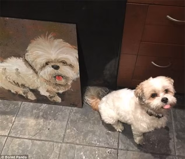  Đến lè lưỡi cũng phải giống nhau. Ảnh: Daily Mail 