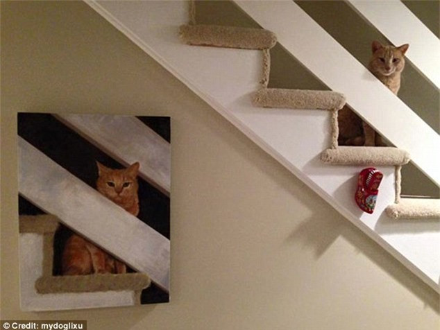 ##sc### Cùng "nhìn về một hướng". Ảnh: Daily Mail 