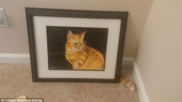  Sao đuôi của mình lại lòi ra ngoài khung tranh? Ảnh: Daily Mail 