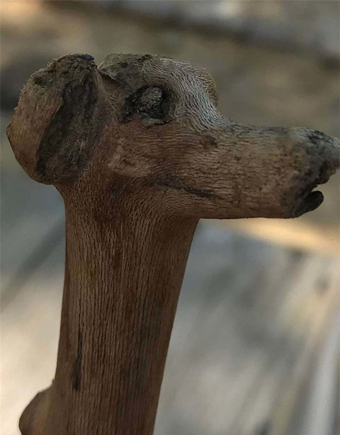 Cành cây với hình dáng một chú chó.