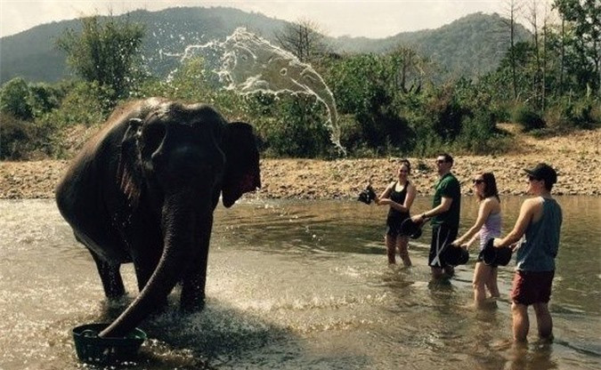 Bạn có nhìn thấy con voi thứ 2 là dòng nước không?