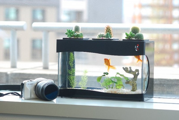 Co 4 thu nay, tien bac tu “chay vao”, su nghiep gia chu len nhu dieu-Hinh-3