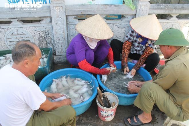 Để có được những sạp chuột con nào con nấy bóng bẩy, chắc nịch chuyển đến tay thực khách, những người nông dân xã Cổ Dũng vất vả từ khâu bắt chuột đến sơ chế. Những ngày này, đến xã Cổ Dũng, không khó bắt gặp hình ảnh người dân sơ chế chuột đồng.