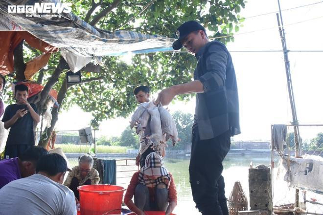 Thịt chuột nhà bà Lý thường được khách tới tận nhà lấy về tự nấu ăn cùng bạn bè, người thân hoặc về phục vụ trong các nhà hàng. Bà Lý cho biết, bà vừa chuyển đi một đơn hàng hơn 10kg thịt chuột vào tận Nghệ An.