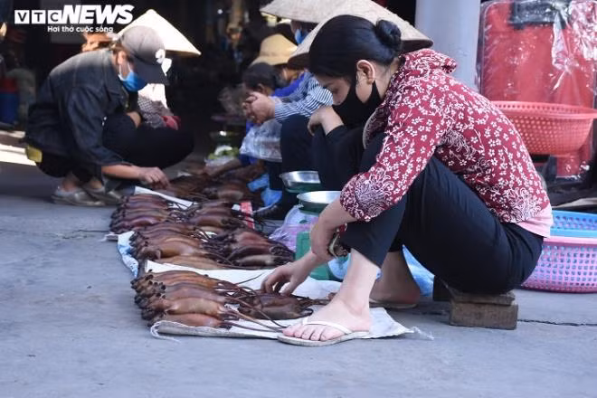 Người dân xã Cổ Dũng coi thịt chuột đồng là món ăn đặc sản của đồng quê. Món ăn này cũng gắn với tuổi thơ của rất nhiều người ở đây.