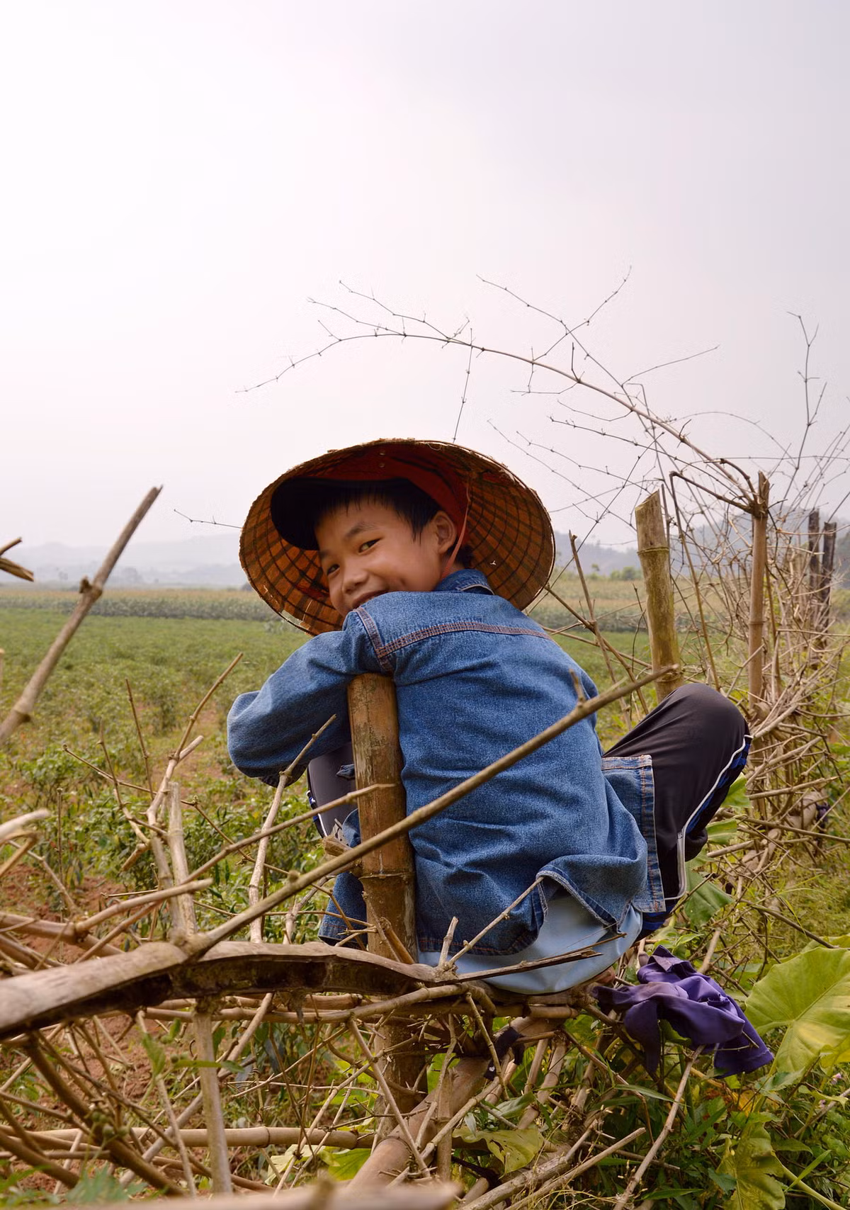 Chú bé vắt vẻo trên hàng rào.