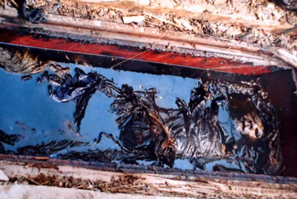 Một xác ướp ngâm tinh dầu trong quan tài làm bằng gỗ ngọc am được khai quật trên cánh đồng ở Nhật Tân, Hà Nội.