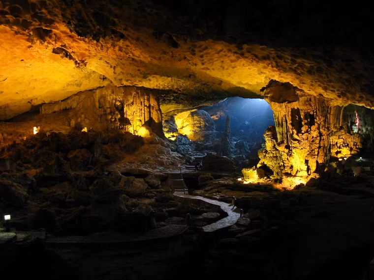 Nằm trên đảo Đầu Gỗ thuộc vịnh Hạ long, Hang Đầu Gỗ được coi là một trong những hang động đẹp nhất Việt Nam. Hang rộng khoảng 5.000 m2, được chia làm 3 ngăn chính với cửa hang rộng 17 m và cao 12 m. Do cửa hang đón nhiều ánh sáng nên lòng động có sự phát triển đa dạng của hệ thực vật, đặc biệt là rêu, cây dương xỉ và cây thân gỗ, tạo nên một nét đặc trưng của hang. Với những nét rêu phong cổ kính, cùng nhiều măng nhũ đá mang vô vàn hình dáng kiến trúc khác nhau, hang được nhiều du khách gọi là "động của các kỳ quan”.