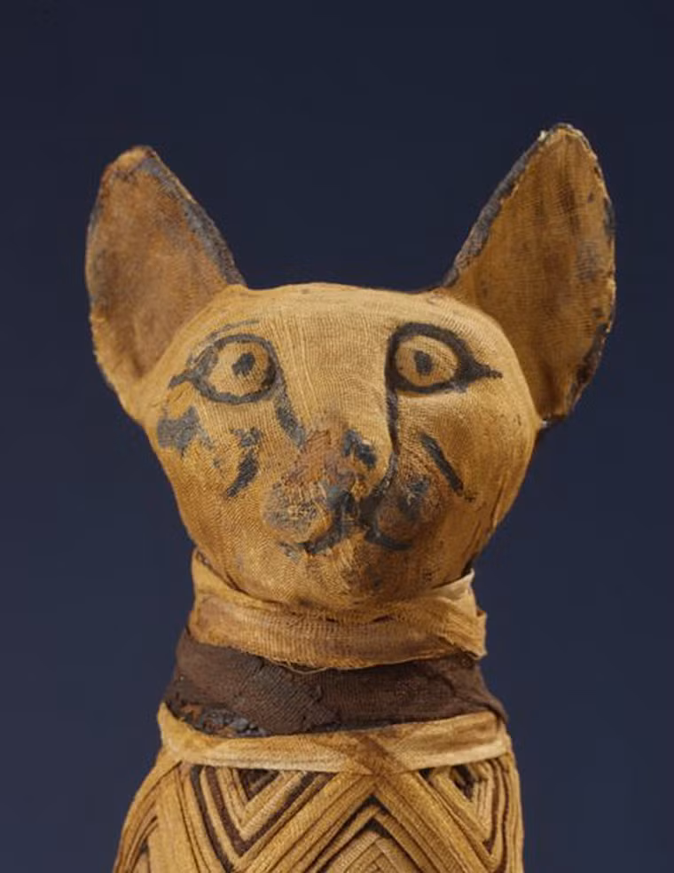 Trong quan niệm của họ, các vị thần đều có con vật tượng trưng khác nhau. Do đó, khi qua đời họ thường chôn theo xác ướp động vật để làm vật hộ mệnh hay bạn đồng hành tới thế giới bên kia..