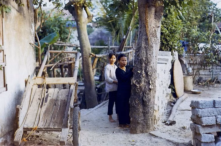 Bên đường làng.