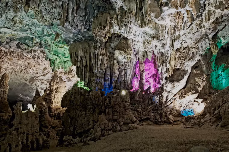 Ảnh: Mitchell Currie (Flickr).