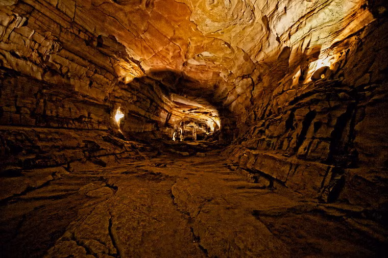 Ảnh: Mitchell Currie (Flickr).